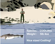 3D jtkok - Desktop fishing
