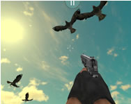 Chicken and crow shoot 3D játékok játék