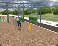 Dog racing simulator 3D játékok játékok ingyen
