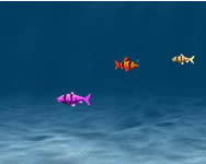 3D jtkok - Franky the fish 2