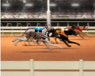 Greyhound racing 3D játékok HTML5 játék